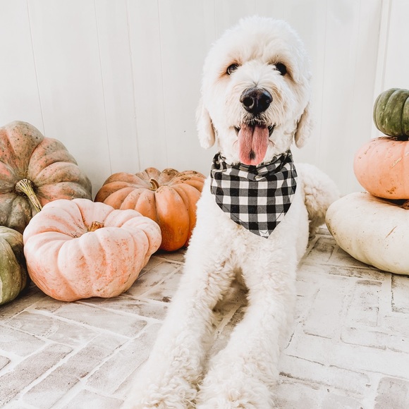 Meet the Posher - Picture 12 of 12